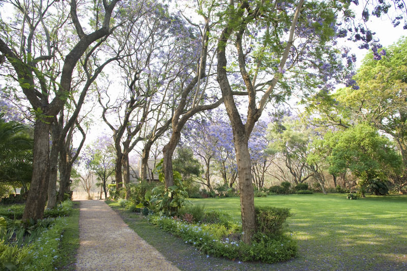 Nesbitt Castle Hotel Bulawayo Buitenkant foto